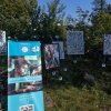 Виставка витинанок на фестивалі «Портал крізь століття: Старосвітський Богуслав — 2025» 2