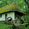 Онлайн фотовиставка студентів програми «Цифрове етномистецтво» «Під сільською стріхою»